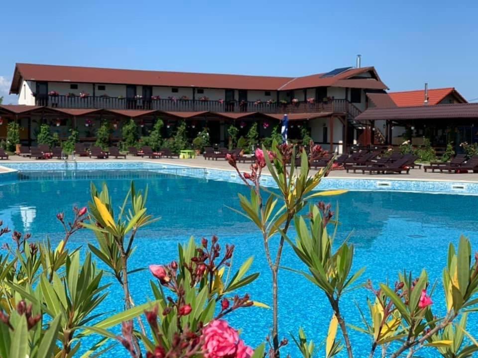 Hotel Aqua Club Elatis Avrig Exterior foto